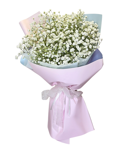 Baby's Breath Bouquet 2Tone Pink Wrapper