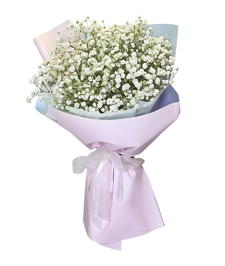 Baby's Breath Bouquet 2Tone Pink Wrapper