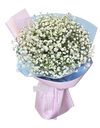 Baby's Breath Bouquet 2Tone Pink Wrapper