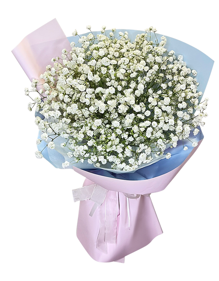 Baby's Breath Bouquet 2Tone Pink Wrapper