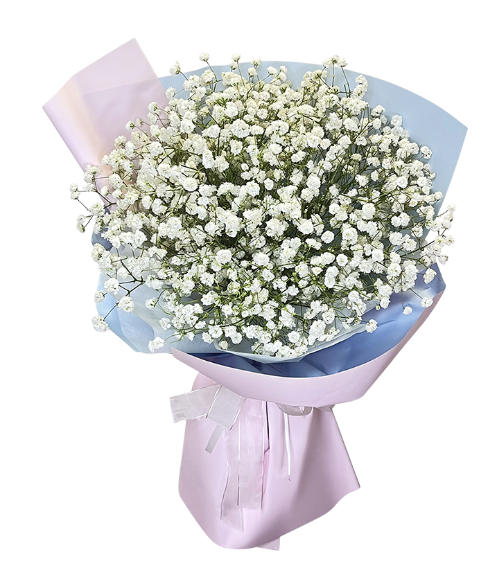 Baby's Breath Bouquet 2Tone Pink Wrapper