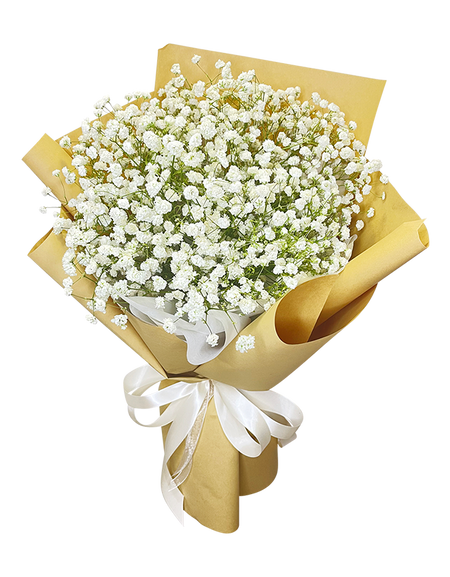 Baby's Breath Bouquet in Natural Wrapper