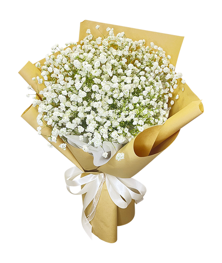Baby's Breath Bouquet in Natural Wrapper
