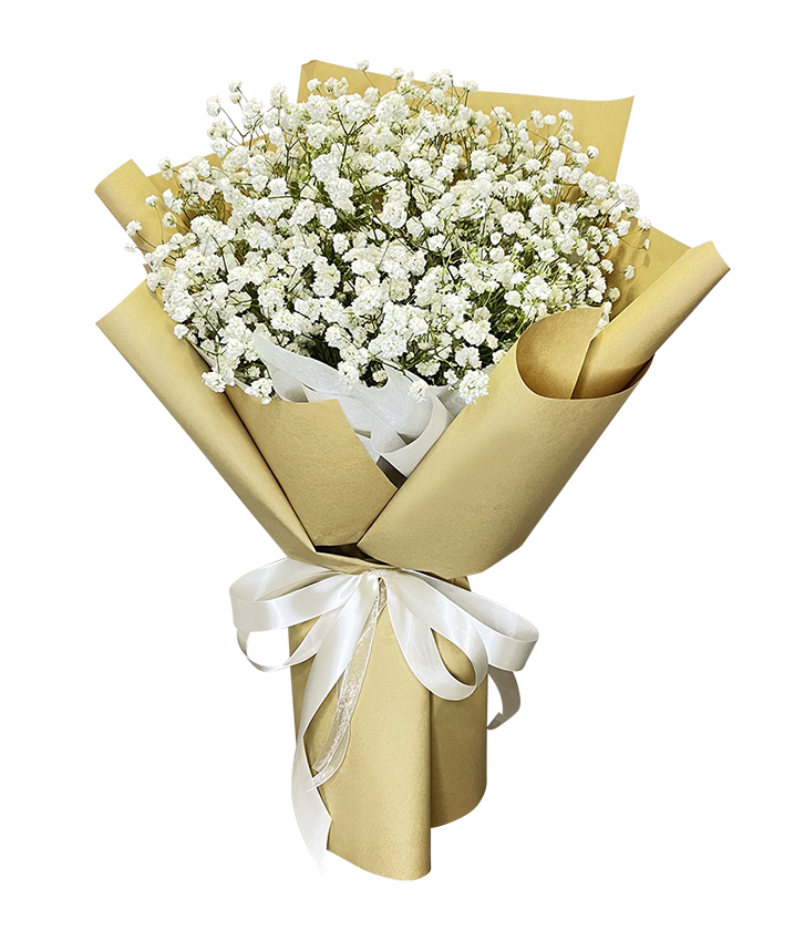Baby's Breath Bouquet in Natural Wrapper