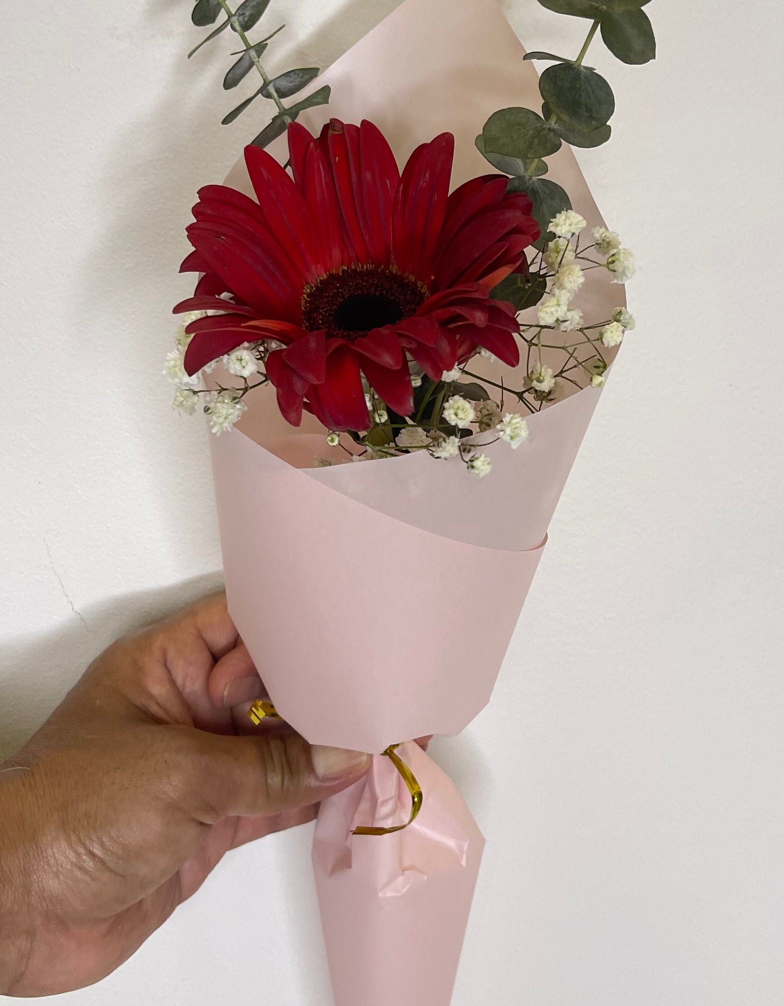 Single Red Gerbera Bouquet