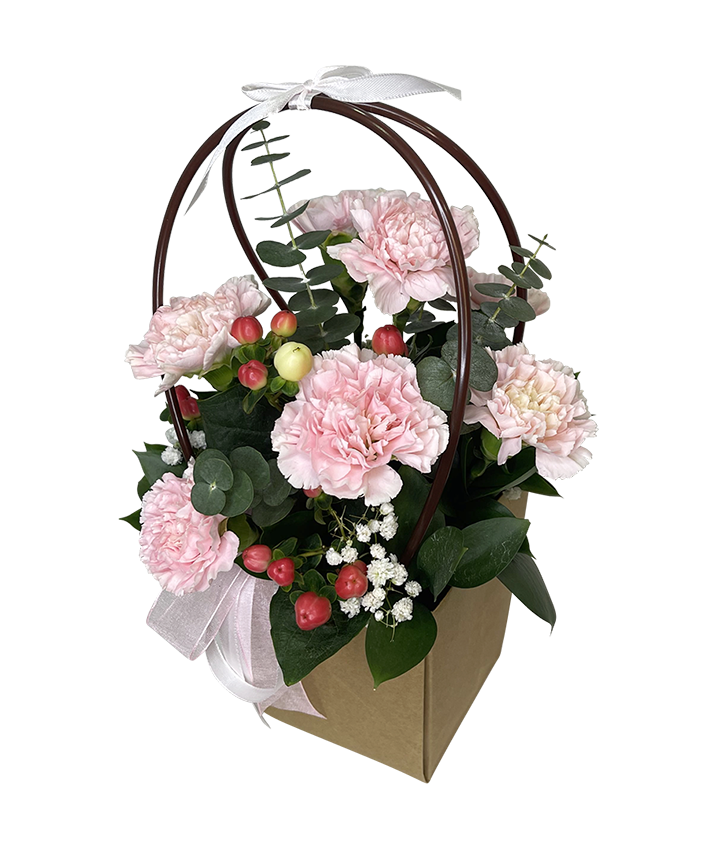 Pink Carnations Bloom Bag