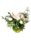 Lush Pink Anthurium Table Top Arrangement