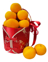 CNY Mandarin Orange Hamper