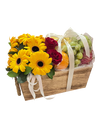 Warm Wishes Gift Hamper
