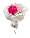 Fuschia and Light Pink Carnations Bouquet