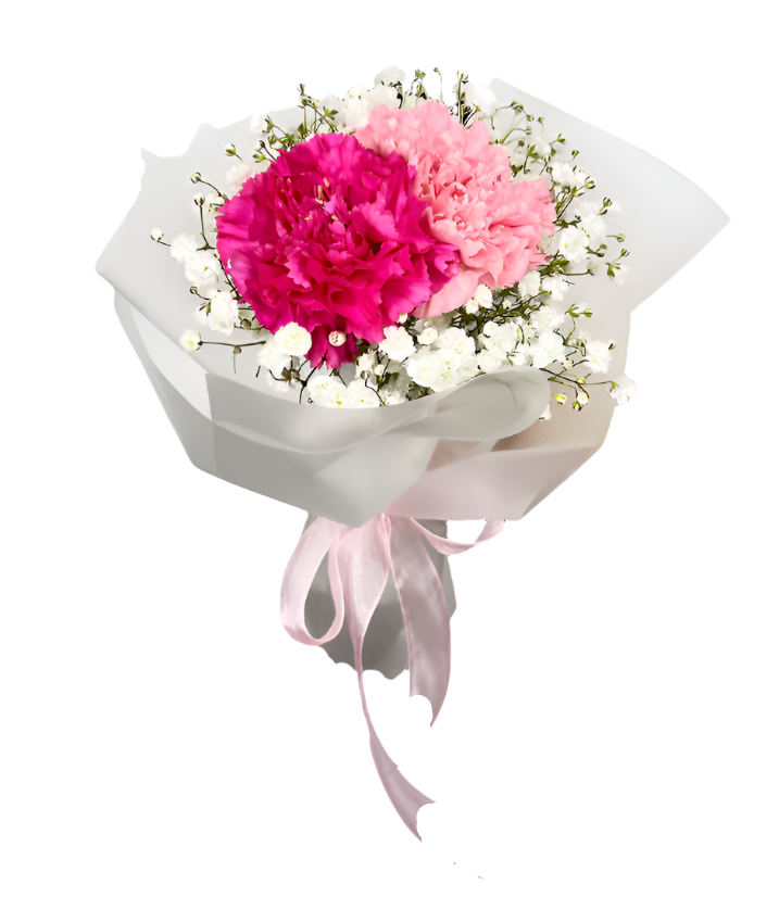 Fuschia and Light Pink Carnations Bouquet