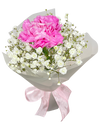 Single Pink Carnation Bouquet