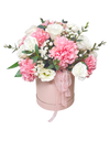 Sweet Pink Blooms