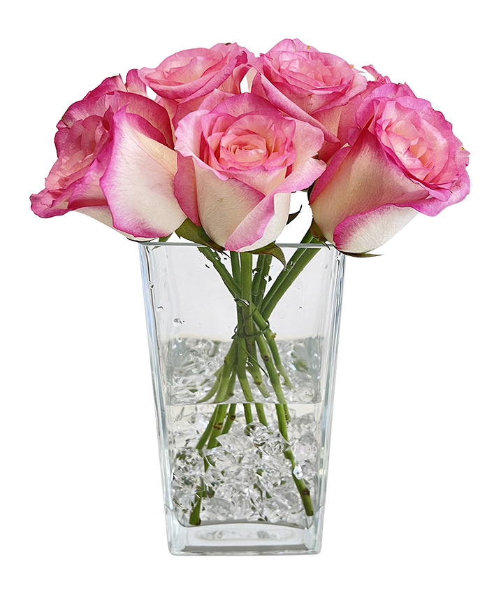 Elegant 2Tone Pink Rose in Tall Vase