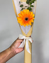 Single Bloom Orange Gerbera Bouquet