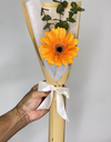 Single Bloom Orange Gerbera Bouquet