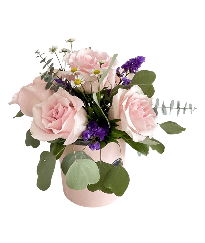 Pastel Pink Rose Bloom box