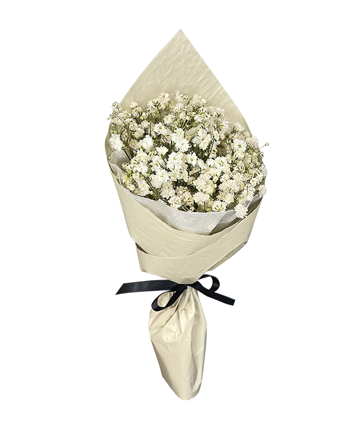 Mini Baby’s Breath Bouquet