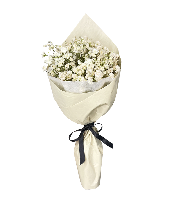 Mini Baby’s Breath Bouquet