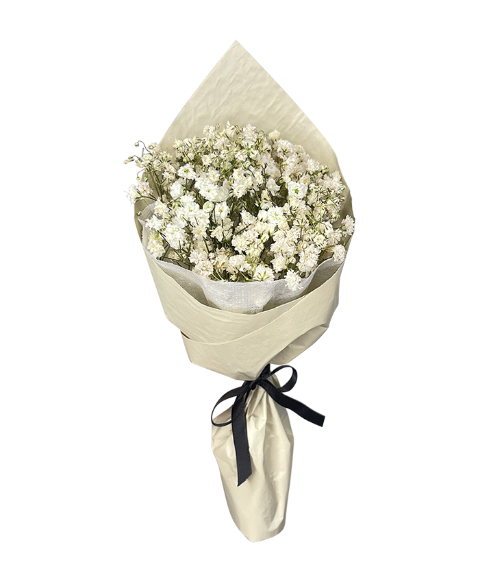 Mini Baby’s Breath Bouquet