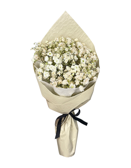 Mini Baby’s Breath Bouquet