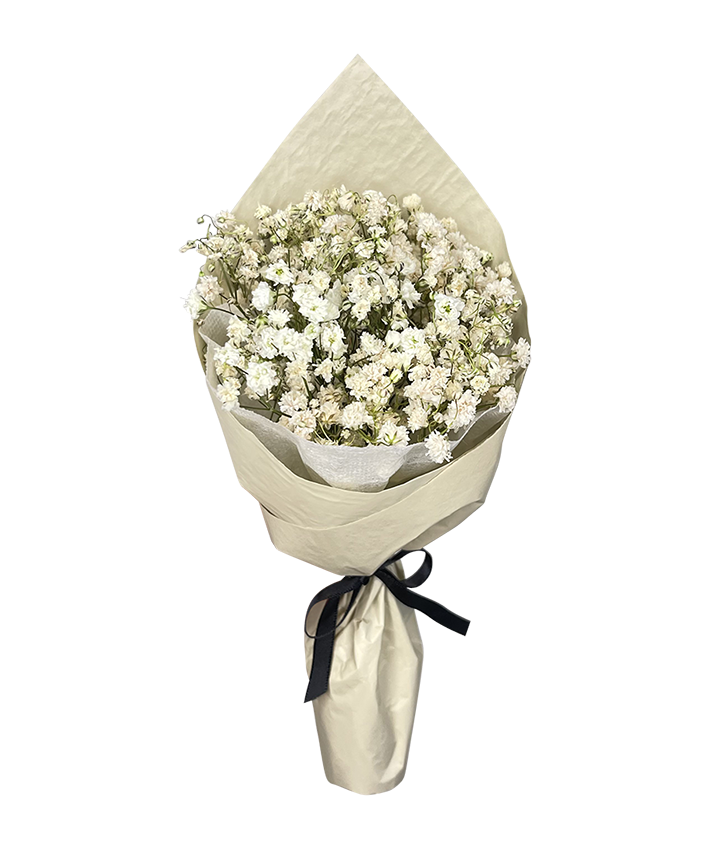 Mini Baby’s Breath Bouquet