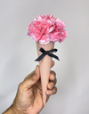 Sweet Carnation Cone Bouquet