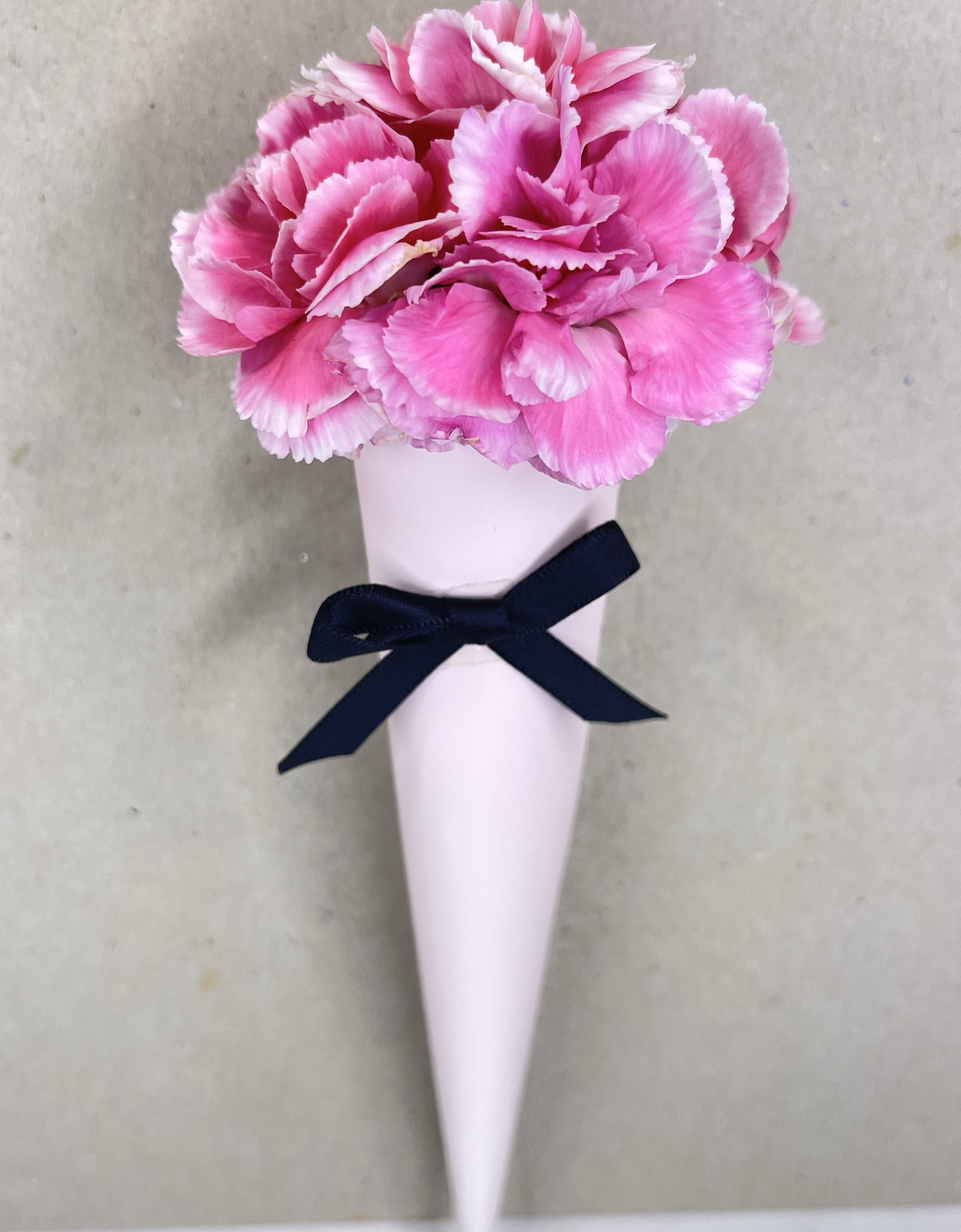 Sweet Carnation Cone Bouquet