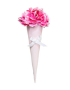 Sweet Carnation Cone Bouquet