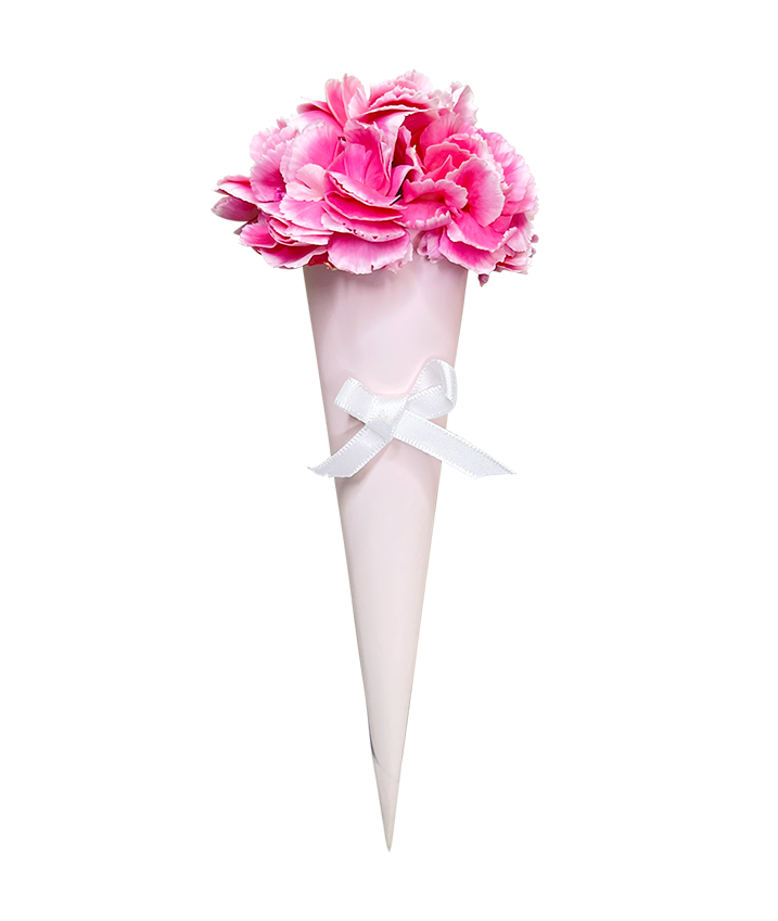 Sweet Carnation Cone Bouquet