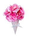 Sweet Carnation Cone Bouquet