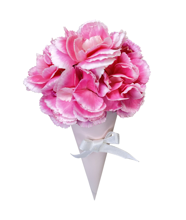 Sweet Carnation Cone Bouquet