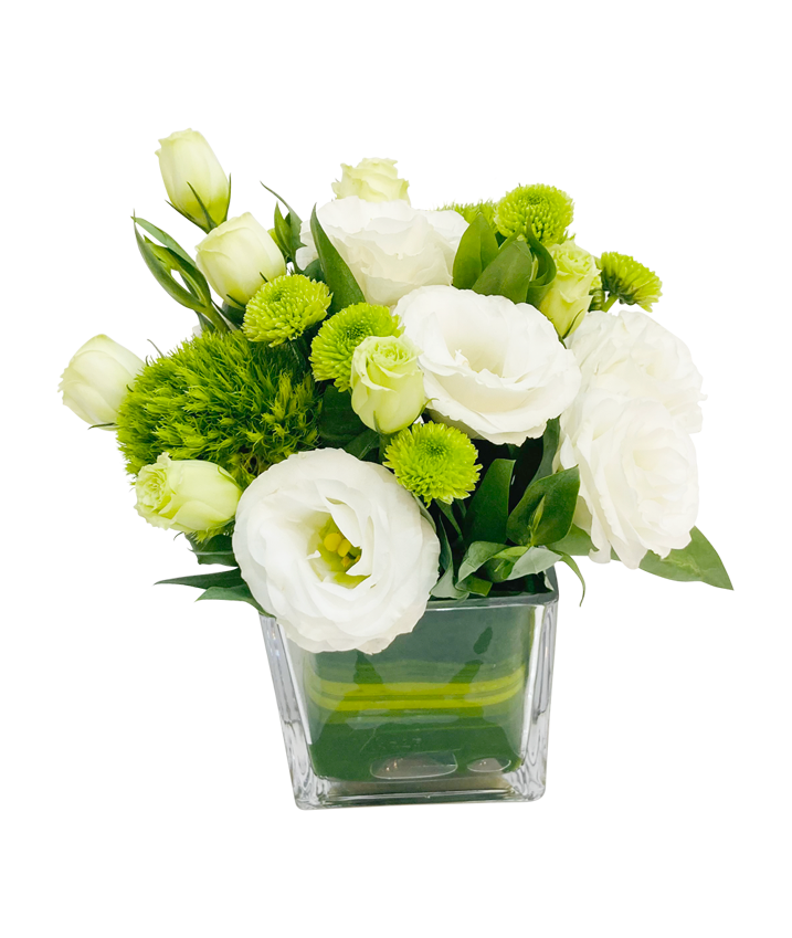 Elegant Mini Botanica