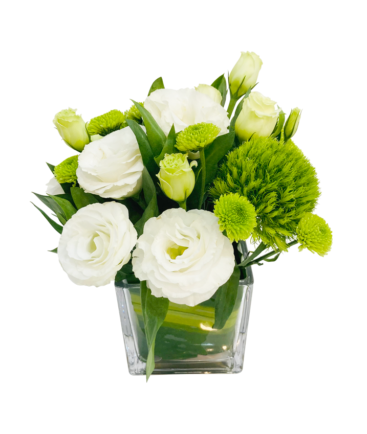 Elegant Mini Botanica