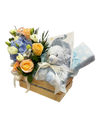 It's A Boy Baby Hamper