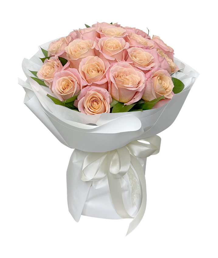 Coral Blush