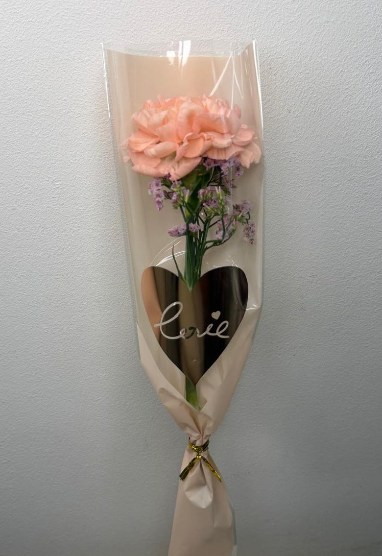 Single Carnation 2026