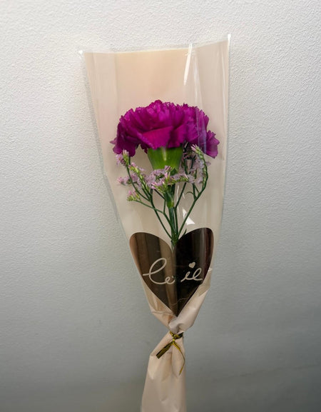 Single Carnation 2026