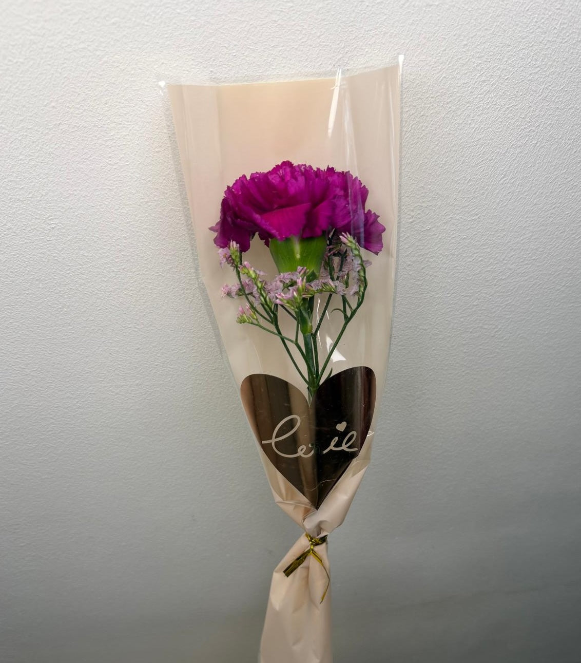 Single Carnation 2026
