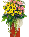 Spectacular I Congratulatory Stand