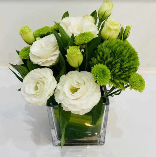 Elegant Mini Botanica