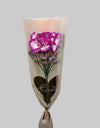 Single Carnation 2026
