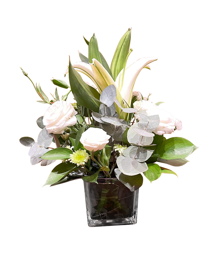 Serene White Blooms