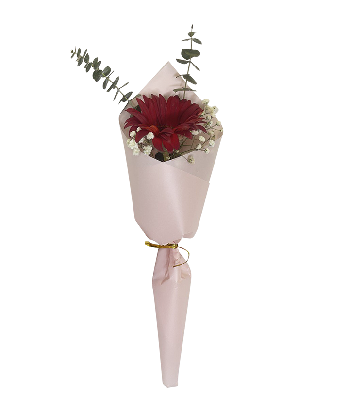 Single Red Gerbera Bouquet