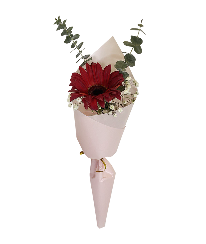 Single Red Gerbera Bouquet