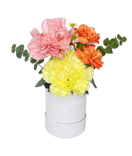 Elegant Pastel Palm-sized Bloom Box