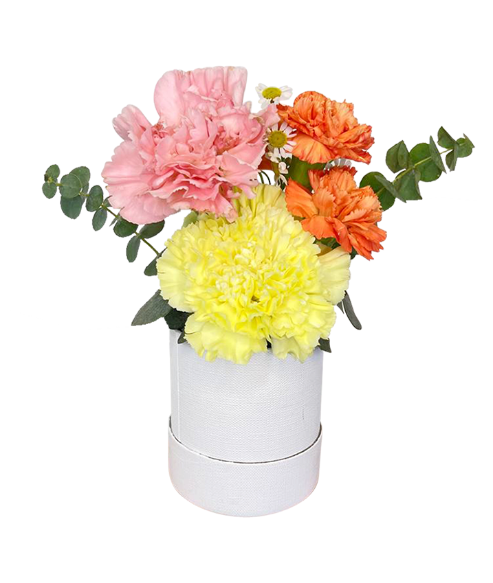 Elegant Pastel Palm-sized Bloom Box