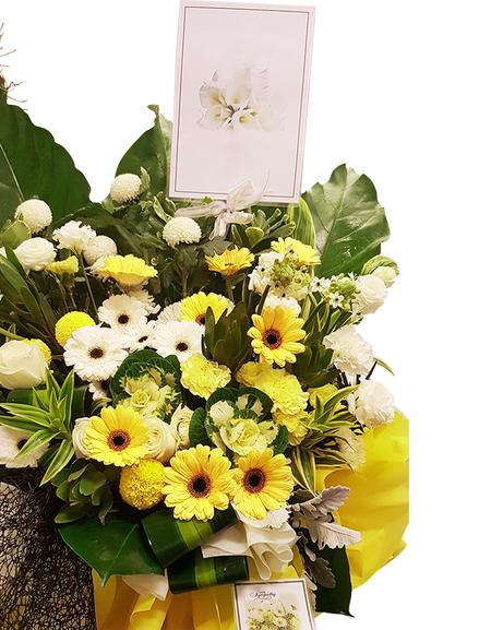 Compassion Sympathy Stand