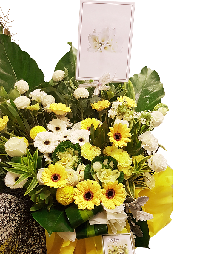 Compassion Sympathy Stand