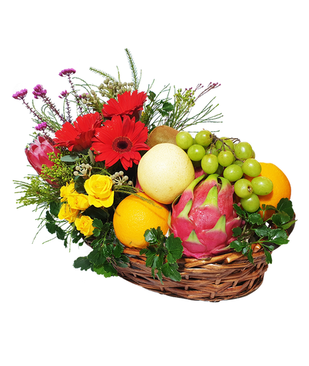 Red Gerbera, Protea and Fruit Basket